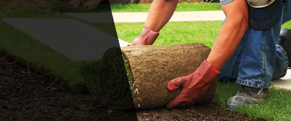 Walla Walla Landscapers